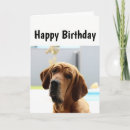 Zoek naar rimpel hond briefkaarten Grappig