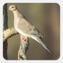 Zoek naar bruine vogel stickers Geboorte