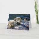 Zoek naar zee otter kaarten Drijfmest