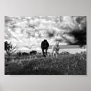 Zoek naar black horse kunst Fotografie