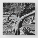 Zoek naar boom klokken Elk persoon