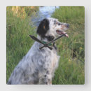Zoek naar hond klokken Muur