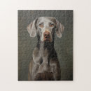 Zoek naar weimaraners puzzels Grijs
