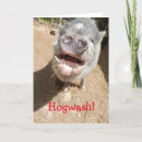 Zoek naar grappige varkens wenskaarten kaarten Boerderij