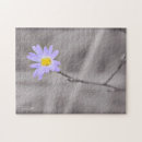 Zoek naar asters puzzels Natuur