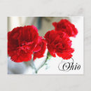 Zoek naar dianthus posters Bloesem
