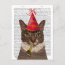 Zoek naar kat briefkaarten Dierenvrienden