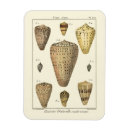 Zoek naar sépia magneten Zee