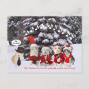 Zoek naar het zingen katten briefkaarten Grappig