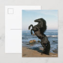 Zoek naar fokken briefkaarten Zwart