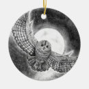 Zoek naar roofvogel ornamenten Wild