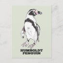 Zoek naar pinguins briefkaarten Elk persoon