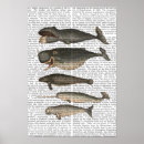 Zoek naar walvissen posters Steampunk