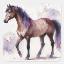 Zoek naar waterverf paarden stickers Equine