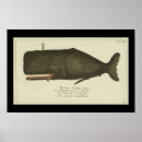 Zoek naar whale kunst Zee