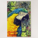 Zoek naar ara puzzels Dier