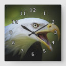 Zoek naar eagle klokken Dieren