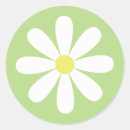 Zoek naar madeliefje stickers Bloemen