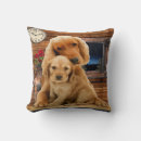 Zoek naar labrador retriever kussens Huisdieren