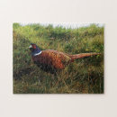 Zoek naar fazanten puzzels Vogels