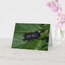 Zoek naar kever kaarten Bug