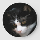 Zoek naar klokjes klokken Kat