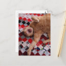 Zoek naar slaperig briefkaarten Kat
