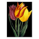 Zoek naar pierre joseph redoute briefkaarten Bloemafbeelding