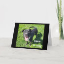 Zoek naar humor neef kaarten Tiener