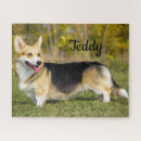 Zoek naar pembroke welsh corgi puzzels Dier