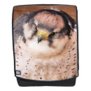 Zoek naar roofvogels tassen Dier
