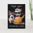 Zoek naar pinguïn liefde posters Fotografie