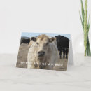 Zoek naar babykaartjes Kind