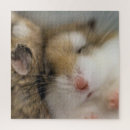 Zoek naar hamster puzzels Grappig