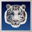 Zoek naar tijger ogen posters Bengal