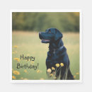 Zoek naar zwarte labrador servetten Zwart lab