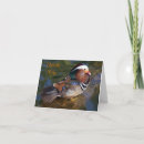 Zoek naar mandarijn posters Vogel