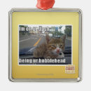 Zoek naar as ornamenten Ik kan cheezburger hebben