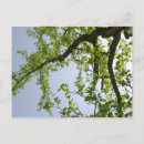 Zoek naar lente briefkaarten Elk persoon