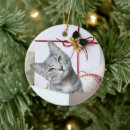 Zoek naar tabby cat ornamenten Huisdier