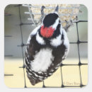 Zoek naar bont stickers Elk persoon