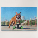Zoek naar skateboard puzzels Cool