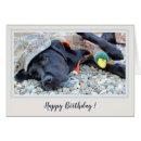 Zoek naar jachthonden posters Zwart lab