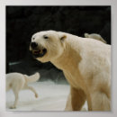 Zoek naar bedreigde dieren posters Instandhouding