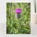 Zoek naar schotse distel kaarten Groen