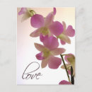 Zoek naar paarse orchidee briefkaarten Orchideeën