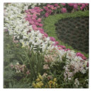 Zoek naar macro tegels Tuin