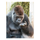 Zoek naar grappige gorilla posters Elk persoon