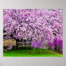 Zoek naar groene veer posters Bloem