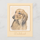 Zoek naar long hair dachshund briefkaarten Haire